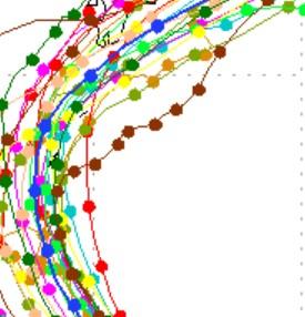 Typhoon Theory and Forecasting